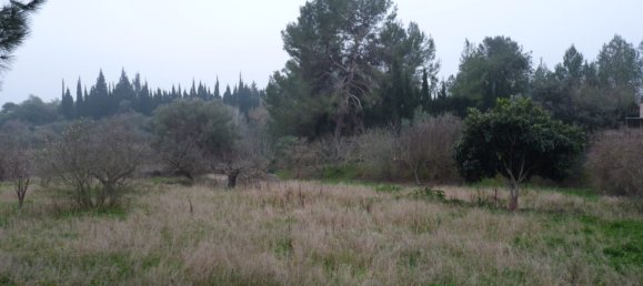 Casa T1 em Barxeta, Spain N.º 26602 16