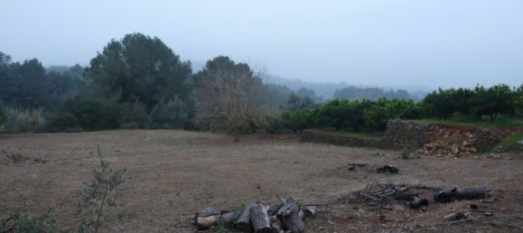 Casa T1 em Barxeta, Spain N.º 26602 13