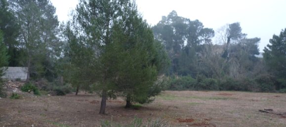 Casa T1 em Barxeta, Spain N.º 26602 14