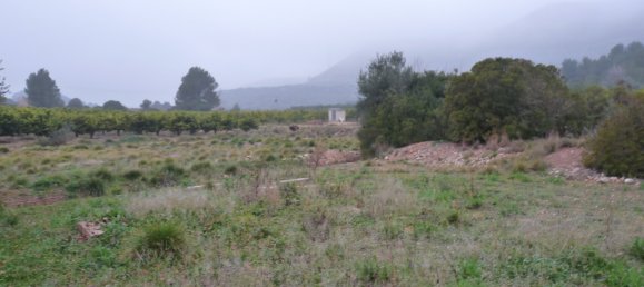 Casa T1 em Barxeta, Spain N.º 26602 21