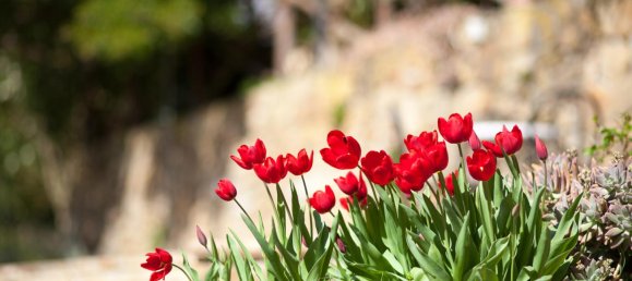  فندق في Gavorrano, Italy 450متر مربع رقم 17554 14