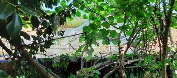 3 bedrooms House in Cabeceiras de Basto, Portugal No. 27322 33