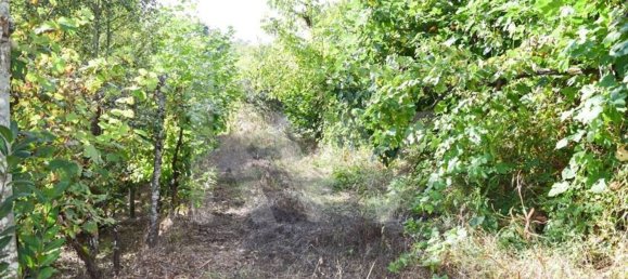 3 bedrooms House in Cabeceiras de Basto, Portugal No. 27322 17