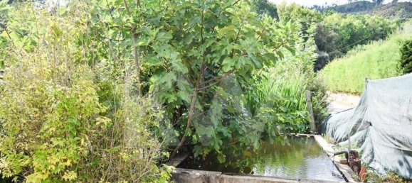 3 bedrooms House in Cabeceiras de Basto, Portugal No. 27322 5