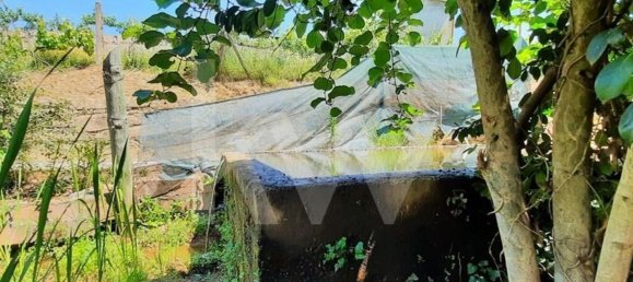 3 bedrooms House in Cabeceiras de Basto, Portugal No. 27322 31