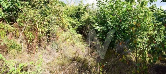 3 bedrooms House in Cabeceiras de Basto, Portugal No. 27322 18