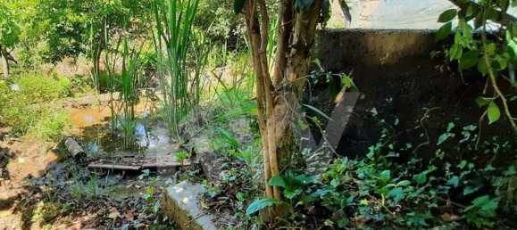 3 bedrooms House in Cabeceiras de Basto, Portugal No. 27322 32