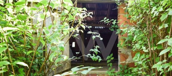 3 bedrooms House in Cabeceiras de Basto, Portugal No. 27322 6