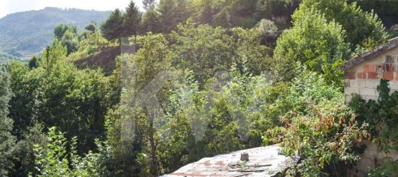 3 bedrooms House in Cabeceiras de Basto, Portugal No. 27322 37