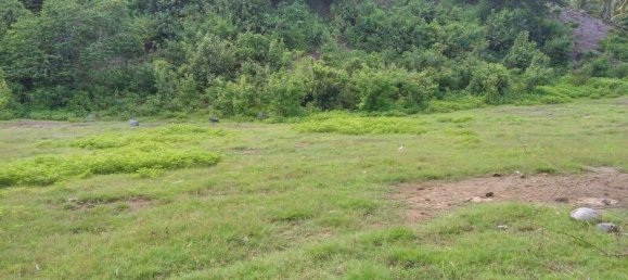 Terreno en Asahan, Indonesia 2800 m² No. 4458 2