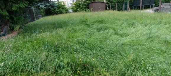 3 غرف نوم منزل في Trier, Germany رقم 33874 5