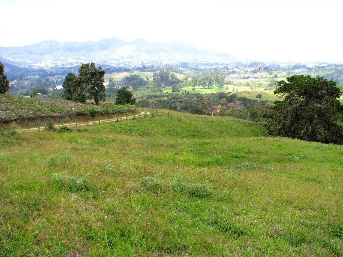 Terreno en Antioquia, Colombia No. 239