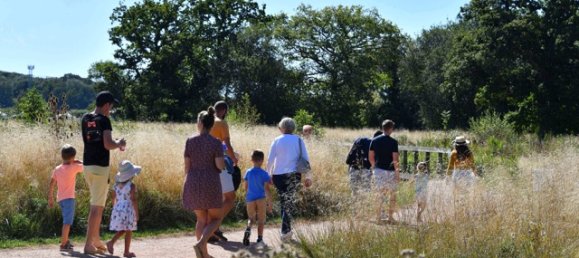 2 bedrooms House in Fleet, United Kingdom No. 3459 22