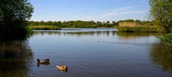 2 bedrooms House in Fleet, United Kingdom No. 3459 40