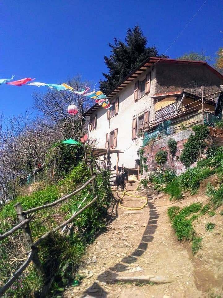 8 rooms House in Stazzema, Italy No. 114685