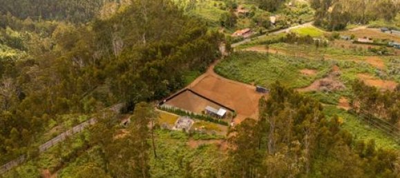 1157m² Land in Ponta do Sol, Portugal No. 244811 15