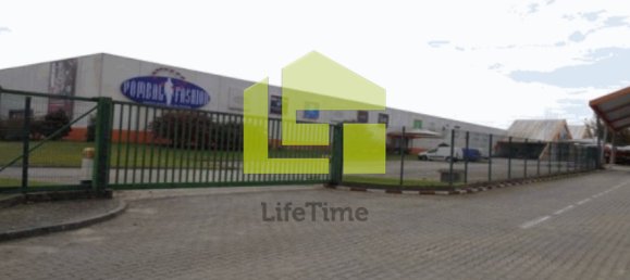 Propiedad comercial en Pombal, Portugal 100 m² No. 75600 9