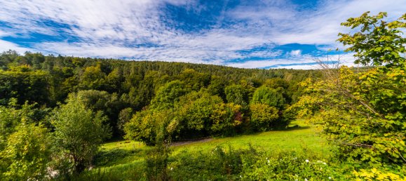 2 rooms Apartment in Rems-Murr-Kreis, Germany No. 371321 7