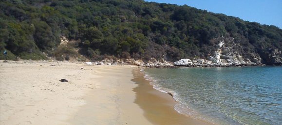 20000m² Hotel in Chalkidiki, Greece No. 8074 2