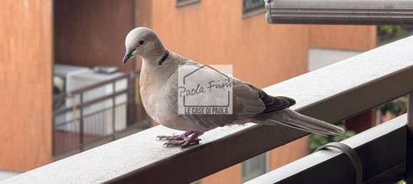 3 rooms Apartment in Rome, Italy No. 60562 23