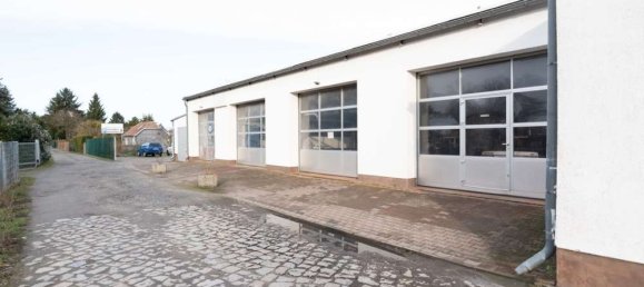 Bâtiment à Potsdam-Mittelmark, Germany 916m² No. 277776 4