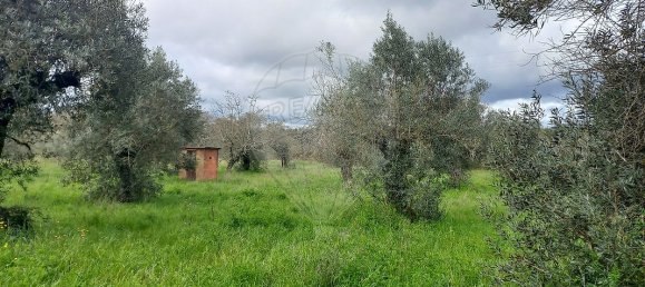 4 bedrooms House in Ferreira do Zezere, Portugal No. 23632 26