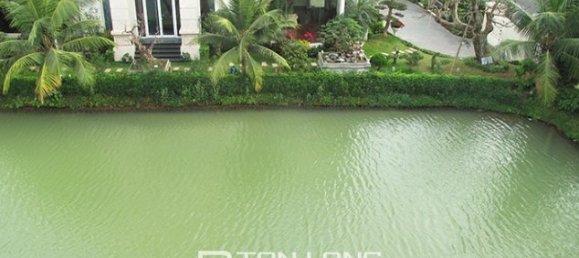 4 bedrooms Villa in Long Bien, Vietnam No. 3289 18