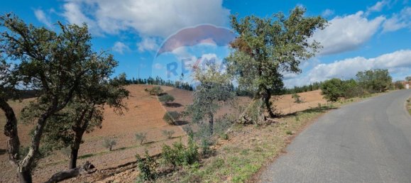 3 Schlafzimmer Haus in Santa Clara a Velha, Portugal, Nr. 40248 32