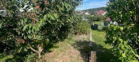 6غرفة منزل في Kusel, Germany رقم 341907 17