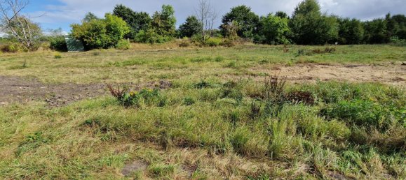  Land in Dithmarschen, Germany No. 16515 2