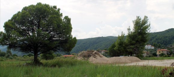 5450m² Hotel in Chalkidiki, Greece No. 7578 4