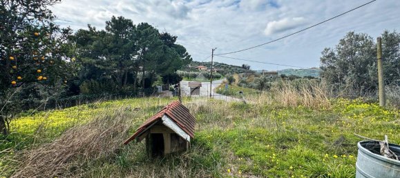 4 rooms House in Cleto, Italy No. 150872 30