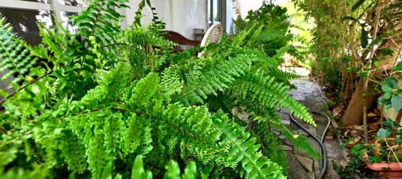 3 bedrooms House in Cascais, Portugal No. 133188 5