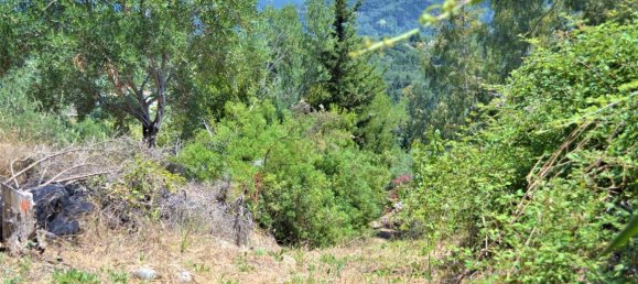 700m² Townhouse in Corfu, Greece No. 4149 23