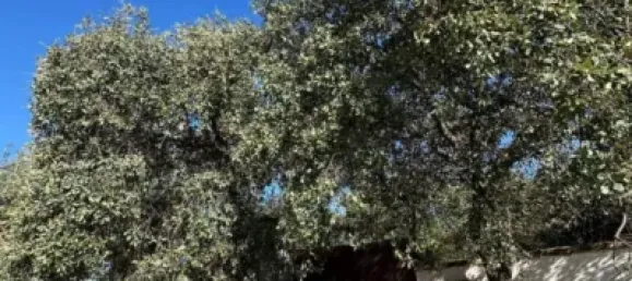 4 Schlafzimmer Haus in Cordoba, Spain, Nr. 142934 30