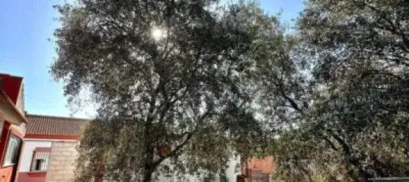 4 Schlafzimmer Haus in Cordoba, Spain, Nr. 142934 41