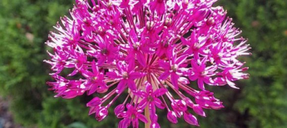 Дом с 3 спальнями в Регенсбург, Германия № 300324 16