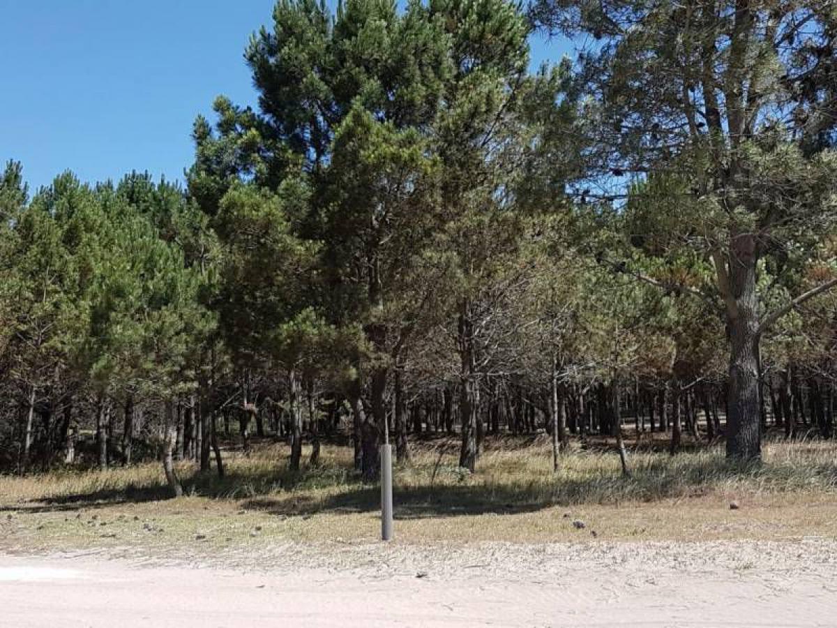 Terrain à Mar del Plata, Argentina No. 115227