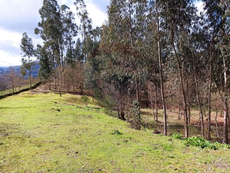 9400m² Land in Arcos de Valdevez, Portugal No. 287257