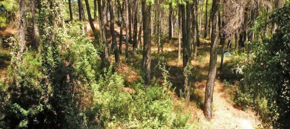 3 bedrooms Villa in Acharnes, Greece No. 7547 6