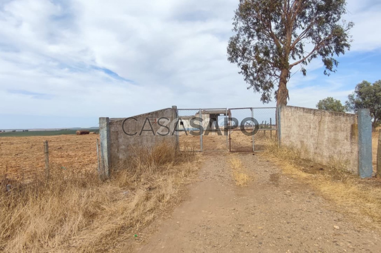  Land in Aljustrel, Portugal No. 341691