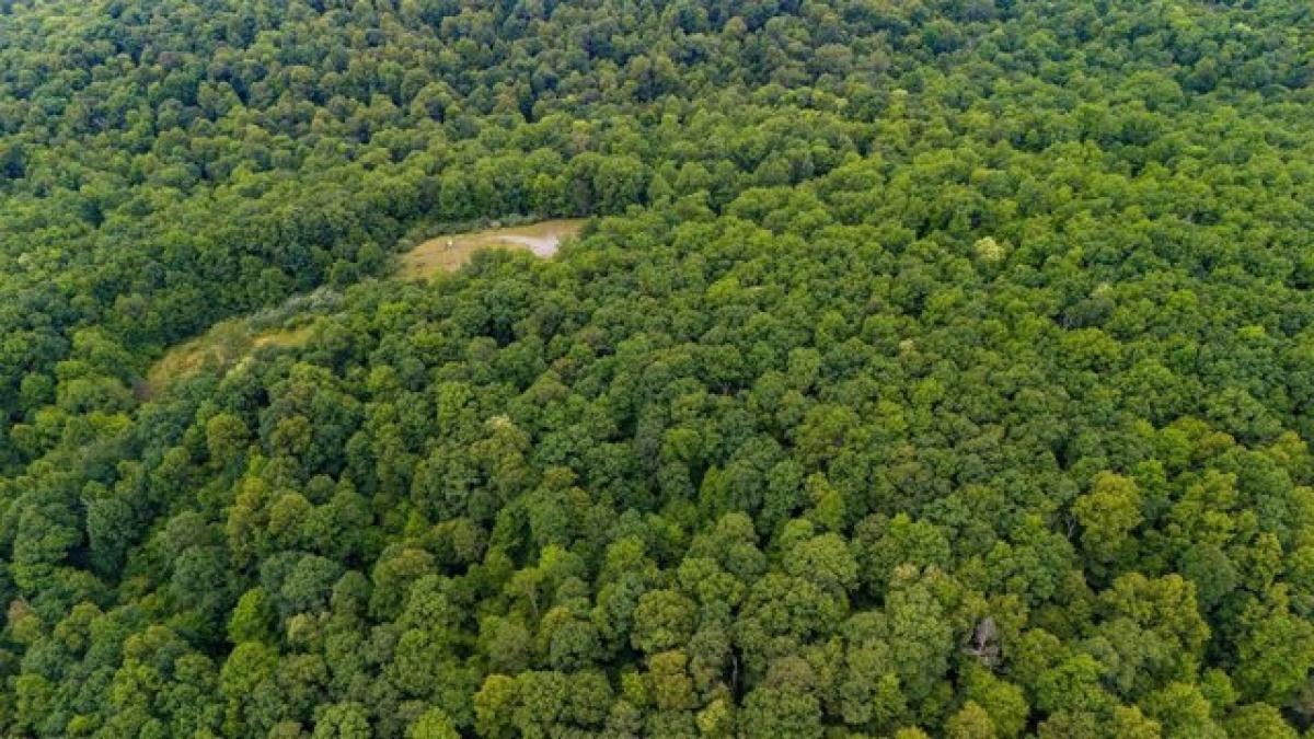  Land in Morgantown, USA No. 540352