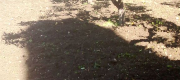 Terreno em Valderice, Italy 400 m² N.º 305507 7