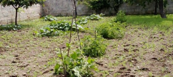 Terreno em Valderice, Italy 400 m² N.º 305507 2