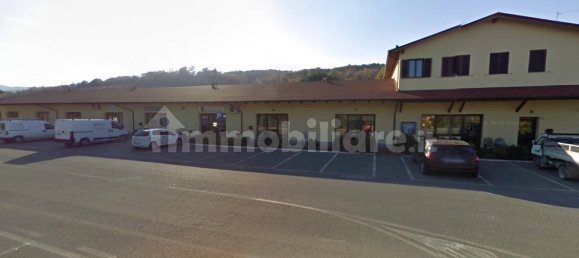 Коммерческая недвижимость с 5 комнатами в Арчидоссо, Италия № 259441 2