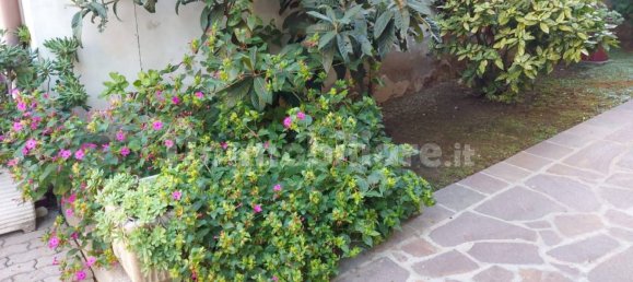 Квартира с 1 спальней в Падерно Дуньяно, Италия № 13536 28