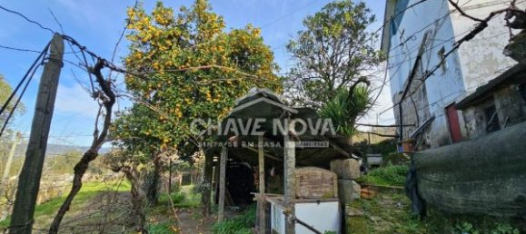 2 bedrooms House in Espadanedo, Portugal No. 49181 5