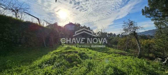 2 bedrooms House in Espadanedo, Portugal No. 49181 4