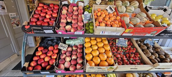  عقار تجاري في Gracay, France 300متر مربع رقم 269116 6