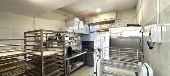 3 rooms Commercial property in Rome, Italy No. 295037 12